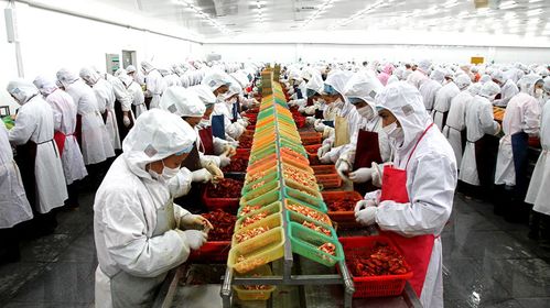 京東生鮮聯(lián)手德炎水產(chǎn),打開(kāi)小龍蝦產(chǎn)業(yè)新格局