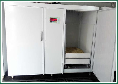 自動豆芽設(shè)備廠家 甘南自動豆芽設(shè)備 科發(fā)豆芽機(jī)械公司 多圖