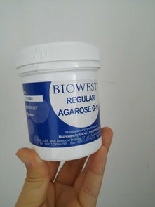 biowest agarose g 10瓊脂糖