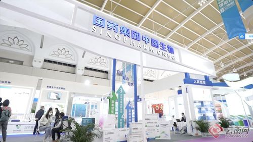 趙立堅發(fā)博,點(diǎn)贊南博會