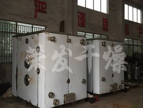 湖北宜昌食品公司與榮發(fā)干燥合作，引進(jìn)恒特發(fā)薯?xiàng)l烘干機(jī)助力產(chǎn)業(yè)升級(jí)