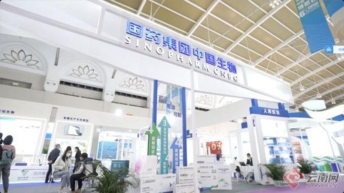 智慧引領，科技賦能 記者帶你解鎖南博會新體驗——恒特發展焦點