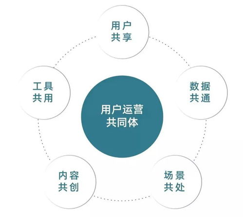 從今往后有兩種企業(yè),有錢(qián)的買(mǎi)流量,有才的造流量